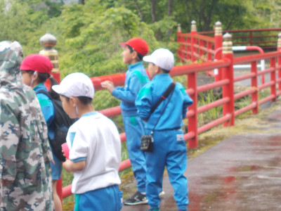 DSCN4645