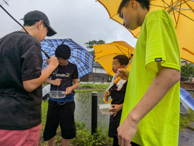 PXL_20250603_062422943