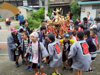 PPHK0806
