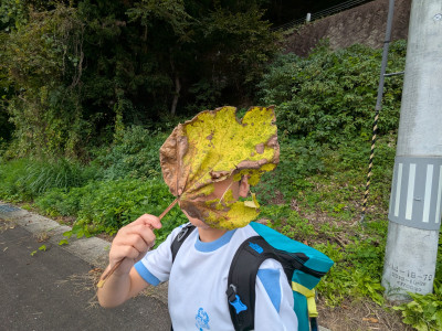 PXL_20251010_041632634