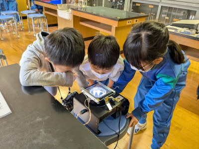 PXL_20251114_010154944