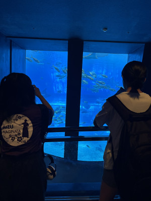 Image_20250918_160612_661