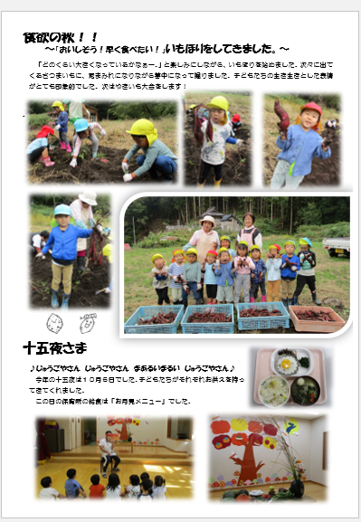 桐の花１０月２